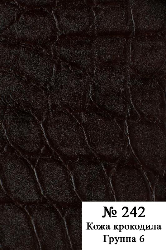 #242